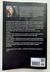 2025 Emotional Regulation in 30 Days after Breakup by A. Soulu PB