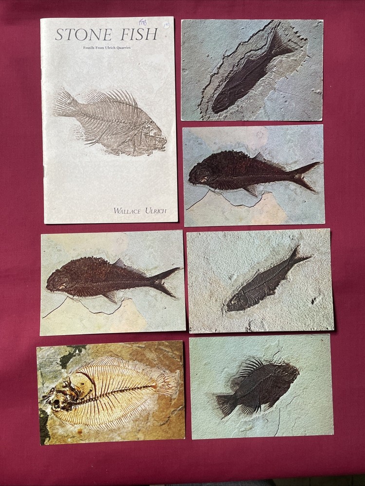 Stone Fish – Fossils from Ulrich Quarries – Wallace Ulrich 1977 Plus 6 Postcards