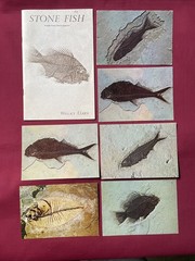Stone Fish – Fossils from Ulrich Quarries – Wallace Ulrich 1977 Plus 6 Postcards