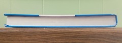 Criminal Justice in Action by Larry Gaines & Roger Miller 11th Eleventh Edition