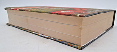 India in the Persianate Age 1000-1765 by Richard M. Eaton