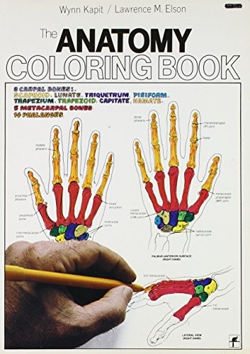 The Anatomy Coloring Book – Paperback By Kapit, Wynn – GOOD