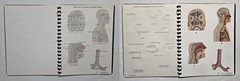 Schick Notebook Charts Human Anatomy Softcover Spiral Bound Book (1987)