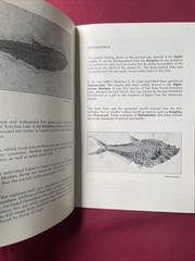 Stone Fish – Fossils from Ulrich Quarries – Wallace Ulrich 1977 Plus 6 Postcards
