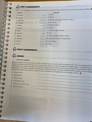 2024 Hole’s Anatomy Physiology Lab Manual. Snider, Martin. Clean pages.