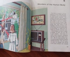Abeka 5 Science Textbook Vintage 1977 Investigating God’s World