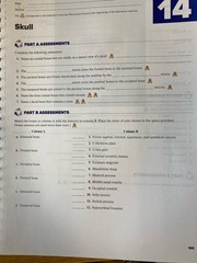 2024 Hole’s Anatomy Physiology Lab Manual. Snider, Martin. Clean pages.