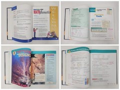 Middle Grades Math Thematics Book 1 Teacher’s Edition – McDougal Littell