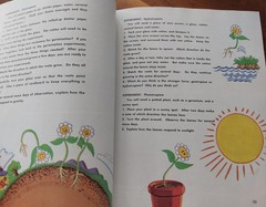 Abeka 5 Science Textbook Vintage 1977 Investigating God’s World