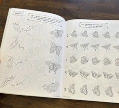 The Good and Beautiful Grades K-2 Science Activity Book Arthropods And Health