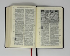 Biblia Sacra Latin Vulgate Clementine Edition Catholic Illustrated Bible Reprint