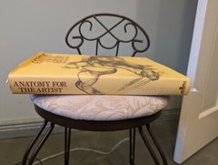 Anatomy for the Artist Jeno Barcsay 1978 Edition 288 Pages HARDCOVER