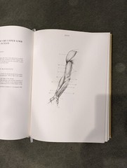 Anatomy for the Artist Jeno Barcsay 1978 Edition 288 Pages HARDCOVER