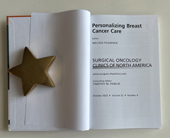 Personalizing Breast Cancer Care Surgical Oncology Clinics 32/4 2023 Hardcover
