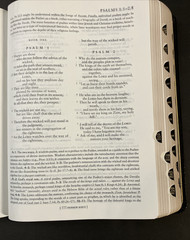 New Oxford Annotated Bible with the Apocrypha, NRSV. 3rd Edition. Leather. 9714A