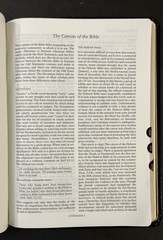New Oxford Annotated Bible with the Apocrypha, NRSV. 3rd Edition. Leather. 9714A