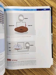 Delmar’s Standard Textbook of Electricity – 6th Edition – Herman “CLEAN No MARKS