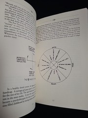 The Four Shields: The Initiatory Seasons of Human Nature by Steven Foster 1st Ed