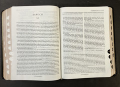 New Oxford Annotated Bible with the Apocrypha, NRSV. 3rd Edition. Leather. 9714A
