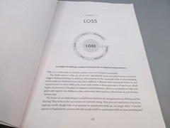 Seven Core Issues Workbook for Parents of Traumatized Children and Teens