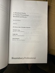 A Practical Guide to Family Proceedings: Blomfield and Brooks by Sophie Hill (En