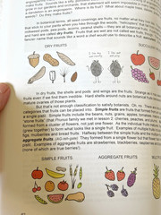 Botany in 8 Lessons; Student Text by Ellen Johnston McHenry (English) Paperback