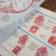 Essentials of Human Anatomy and – Paperback, by Suzanne Keller Acceptable 13 ed
