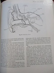 Diseases of the Tempormandibular Apparatus : A Multidisciplinary Approach 1977