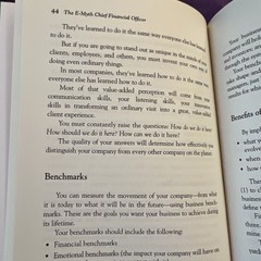 E-Myth Chief Financial Officer by Michael E. Gerber