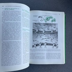 Cell and Molecular Biology Hardcover E. D., De Robertis, E. M., J
