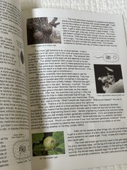 Botany in 8 Lessons; Student Text by Ellen Johnston McHenry (English) Paperback