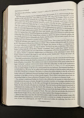 New Oxford Annotated Bible with the Apocrypha, NRSV. 3rd Edition. Leather. 9714A
