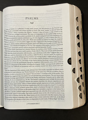 New Oxford Annotated Bible with the Apocrypha, NRSV. 3rd Edition. Leather. 9714A