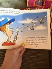 Surprising Facts Phonics Readers And Activity Book