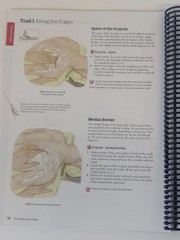 Books Of Discovery Trail Guide To The Body Spiral Bound Textbook White Sixth