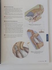 Books Of Discovery Trail Guide To The Body Spiral Bound Textbook White Sixth