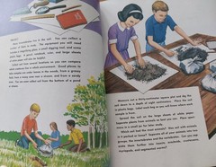 Abeka 5 Science Textbook Vintage 1977 Investigating God’s World