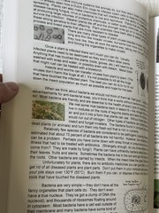 Botany in 8 Lessons; Student Text by Ellen Johnston McHenry (English) Paperback