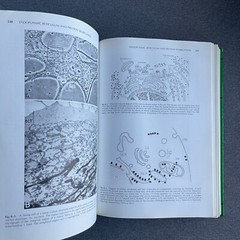 Cell and Molecular Biology Hardcover E. D., De Robertis, E. M., J